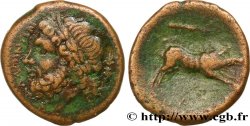 APULIA - SALAPIA Unité
