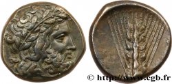 LUKANIEN - METAPONT Nomos, statère ou didrachme