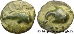 PICENUM - HATRIA (ATRI) Teruncius coulé