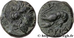 MYSIA – PRIAPOS / PRIAPUS Unité