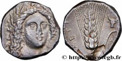 LUCANIA - METAPONTO Nomos, statère ou didrachme
