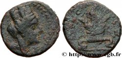 SIRIA, SELEUCIA Y PIERIA - ANTIOCHIA - AUGUSTO Trichalque