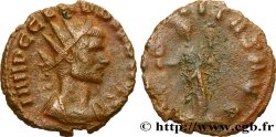 CLAUDIUS II GOTHICUS Antoninien