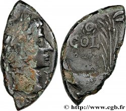 NEMAUSUS - NIMES - AUGUSTUS and AGRIPPA Dupondius COL NEM (as), coupé
