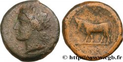 SICILY - TAUROMENIUM Dilitra