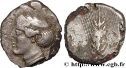 LUCANIA - METAPONTION Nomos ou didrachme