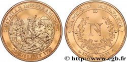 PREMIER EMPIRE Médaille, Bataille des Pyramides